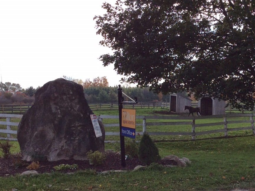 Milton Equine Hospital | 10207 Guelph Line, Campbellville, ON L0P 1B0, Canada | Phone: (905) 854-2111