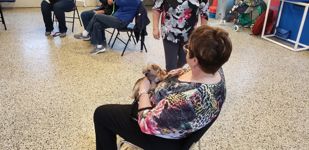 ClassPup Animal Training and Behaviour | 7971 Collison Side Rd, Harrow, ON N0R 1G0, Canada | Phone: (519) 736-4221