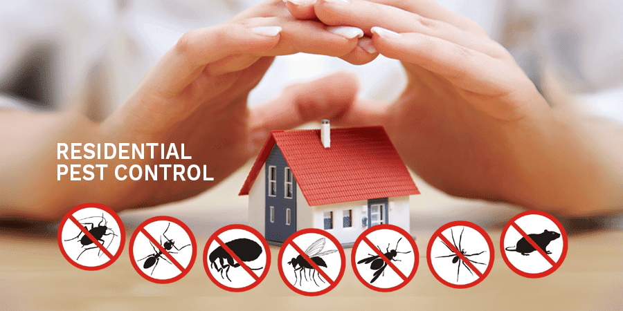 PEST CONTROL MILTON - FAST | 338 English Mill Ct, Milton, ON L9E 0A7, Canada | Phone: (647) 370-8805