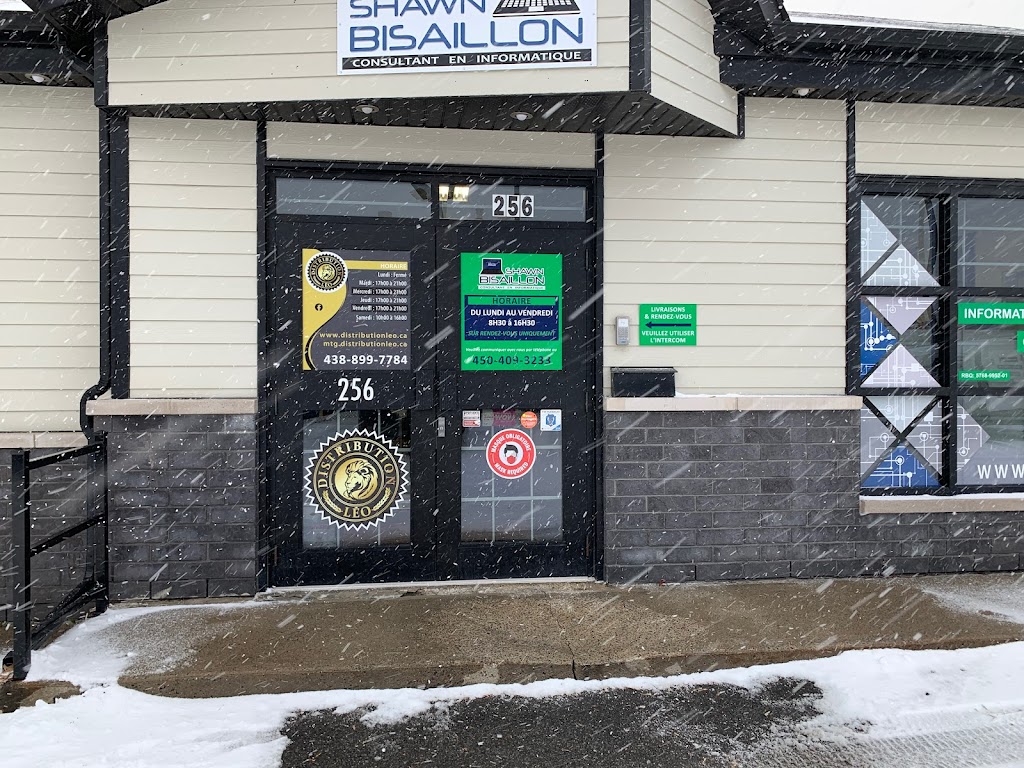 Cartes Léo / Distribution Léo | 256 Av. Béthany, Lachute, QC J8H 2M8, Canada | Phone: (438) 899-7784