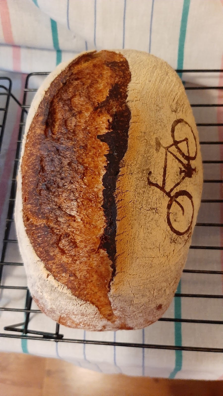 Baba Yagas Farm Stand | Garnet Rd, Saanich, BC V8P 3C9, Canada | Phone: (236) 508-0228
