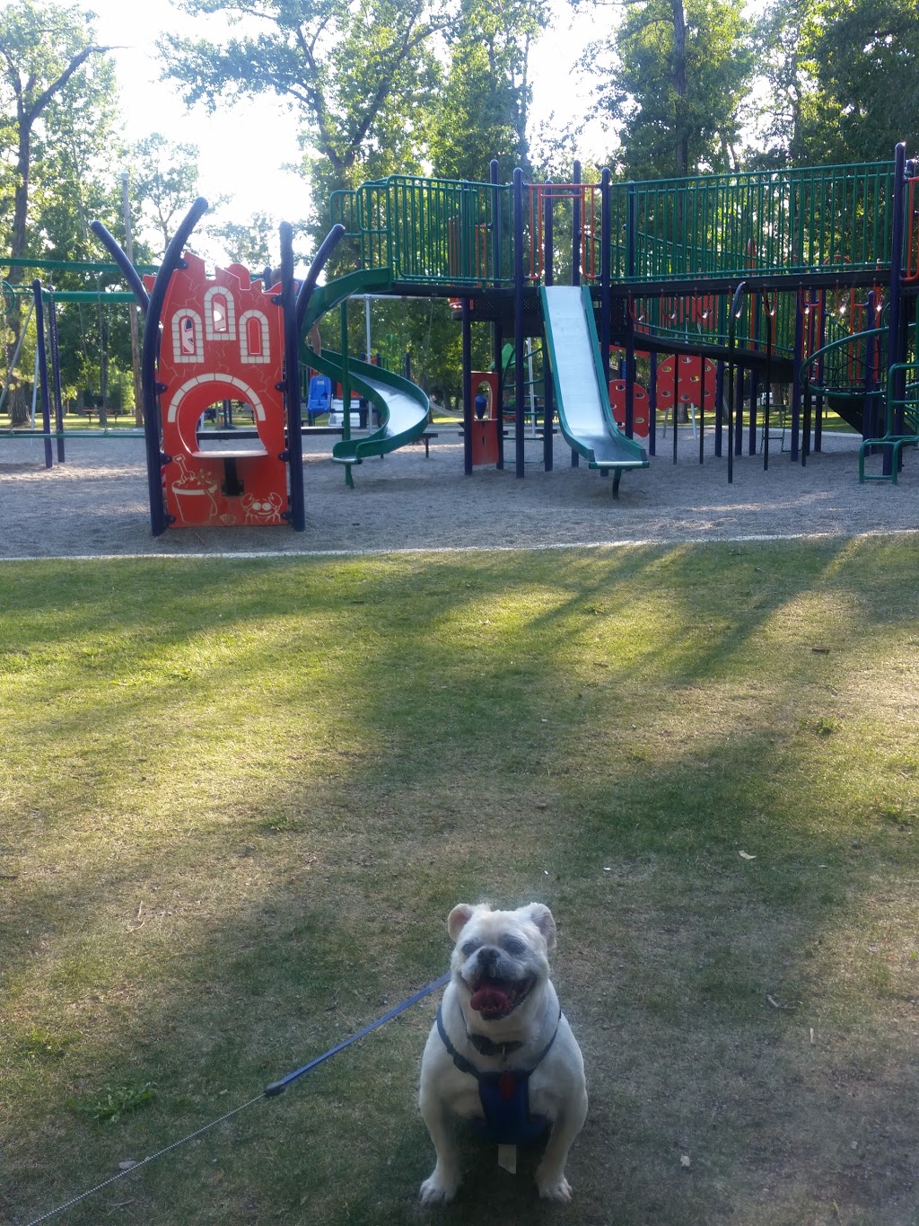 George Lane Memorial Park and Campground | 343 Macleod Trail SW, High River, AB T1V 1B5, Canada | Phone: (403) 652-2529