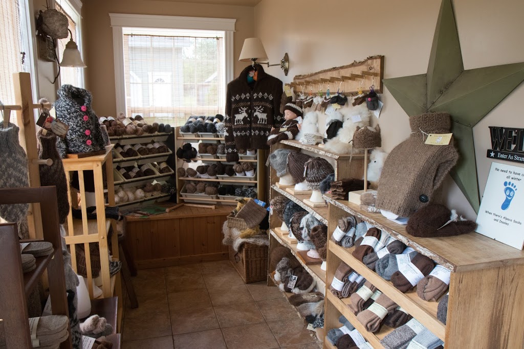 Petitmor Alpacas | 8245 NB-126, Harcourt, NB E4T 2Z8, Canada | Phone: (506) 785-4530
