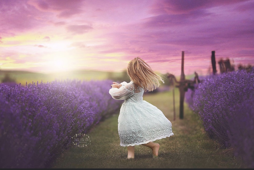Stella Ella Ola Photography | 199 St George St, Brantford, ON N3R 1W3, Canada | Phone: (519) 761-8161