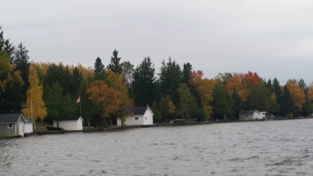 Byrnell Golf Club in Kawartha Lakes | 192 Kawartha Lakes County Rd 8, Fenelon Falls, ON K0M 1N0, Canada | Phone: (705) 887-2935