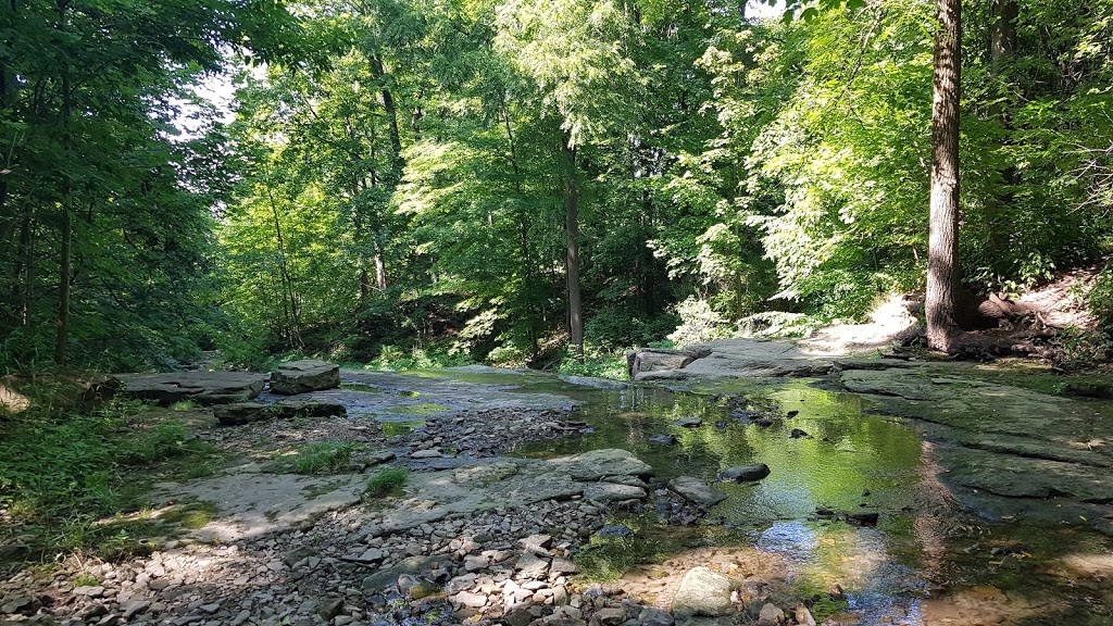 Little Davis Falls | Vincent, Hamilton, ON L8K 5X7, Canada