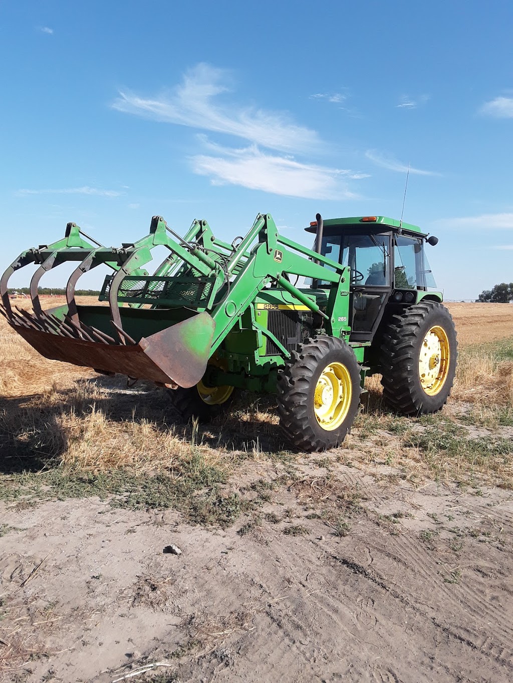 Berg Farms | Township Rd 100, Barnwell, AB T0K 0B0, Canada | Phone: (403) 317-3733