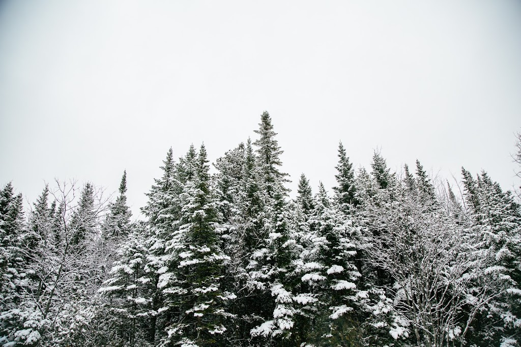 Pierre-Marc Laliberté | Rue du Christ-Roi, Lévis, QC G6V 6E3, Canada | Phone: (418) 931-5546