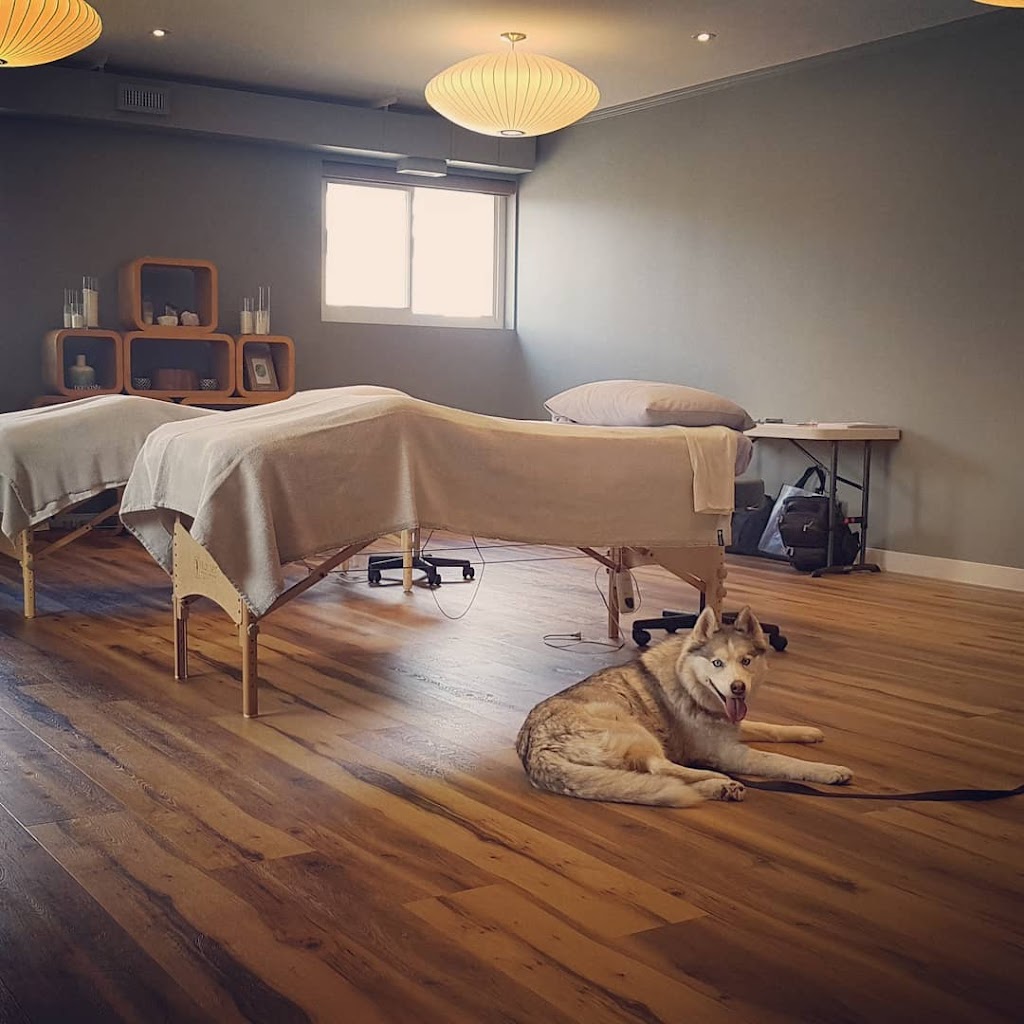 Dehaanimal Wellness | 214 Ave W, Bragg Creek, AB T0L 0K0, Canada | Phone: (403) 949-2378