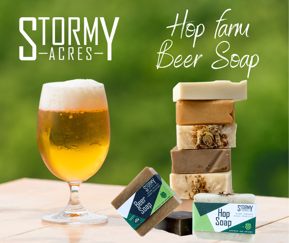 Stormy Acres Hops | 64247 418 Ave E #100, Rural Foothills, AB T0L 0A0, Canada | Phone: (403) 652-4040