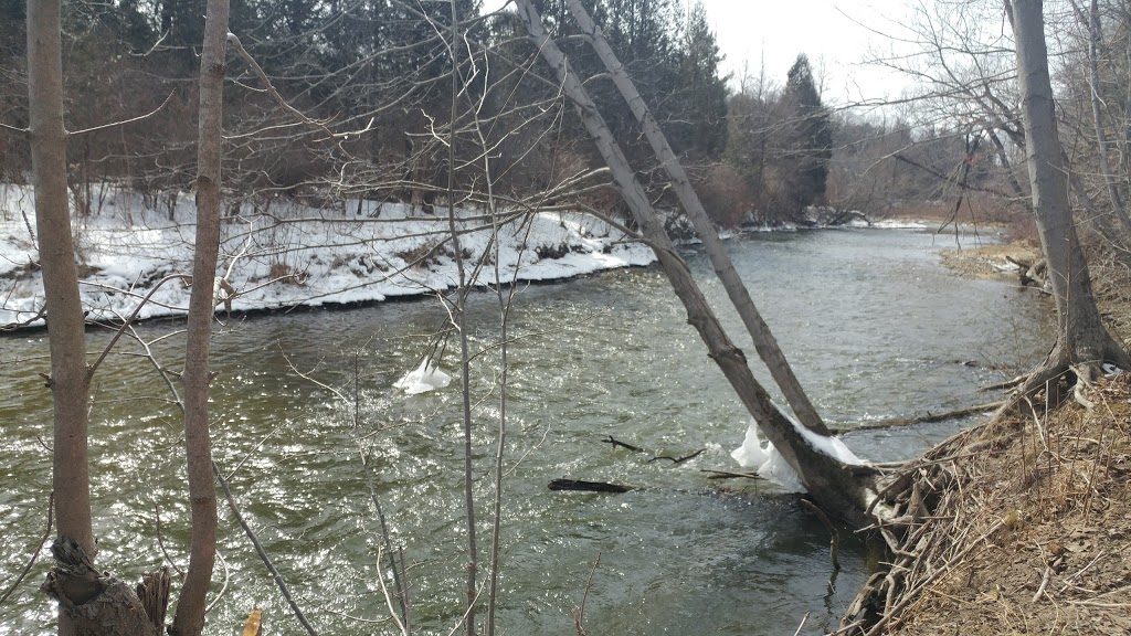 Apps Mill Nature Centre | 308 Robinson Rd, Brantford, ON N3T 5L7, Canada | Phone: (519) 752-0655
