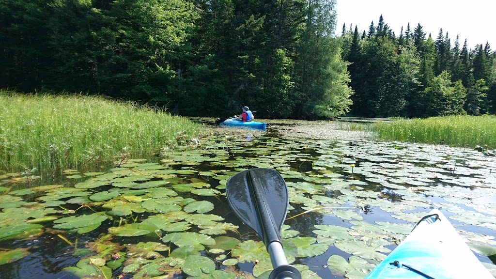 Marais du nord start | 1161 Chemin de la Grande Ligne, Stoneham-et-Tewkesbury, QC G3C 0Y3, Canada