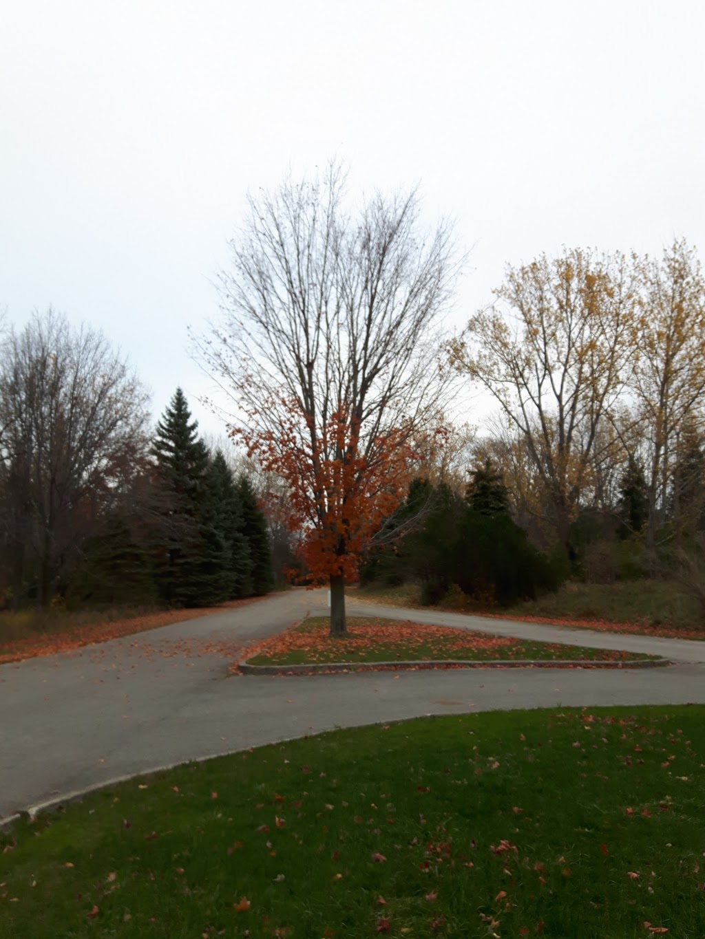 McRae Point Provincial Park | 4366 McRae Park Rd, Longford Mills, ON L0K 1L0, Canada | Phone: (705) 325-7290