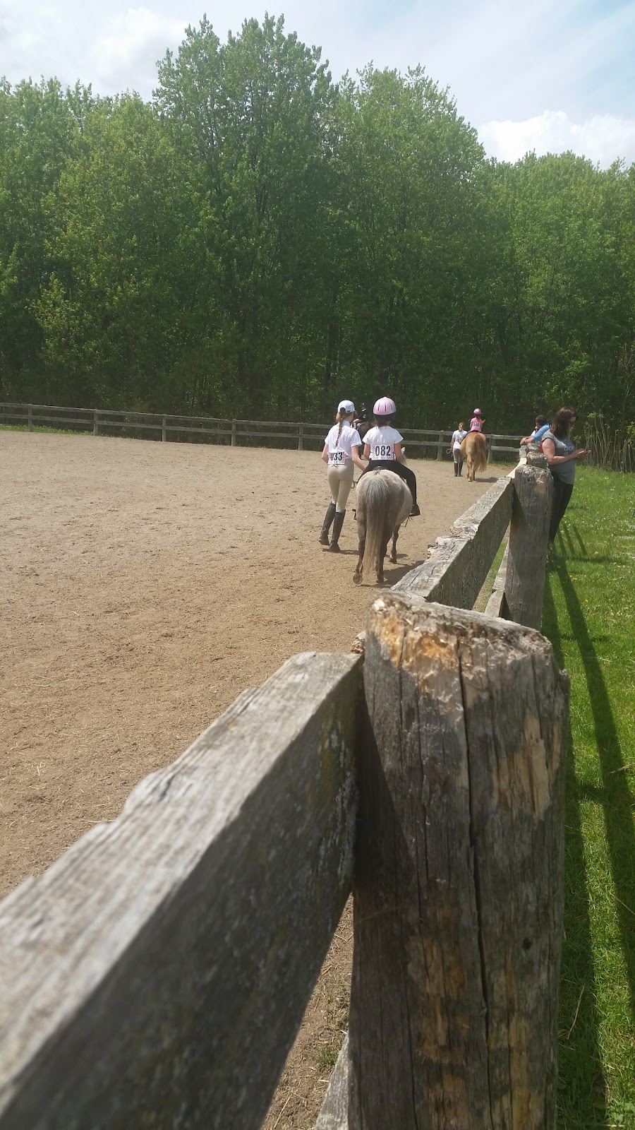 Whitewater Equestrian Centre | 20771 Hwy 17, Pembroke, ON K8A 6W3, Canada | Phone: (613) 633-1331