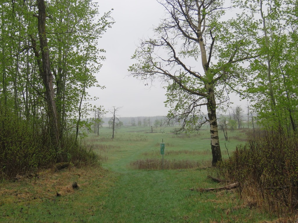 Tawayik Lake Trail | Tawayik Lake Access Rd, Ardrossan, AB T8G 2A6, Canada | Phone: (877) 737-3783