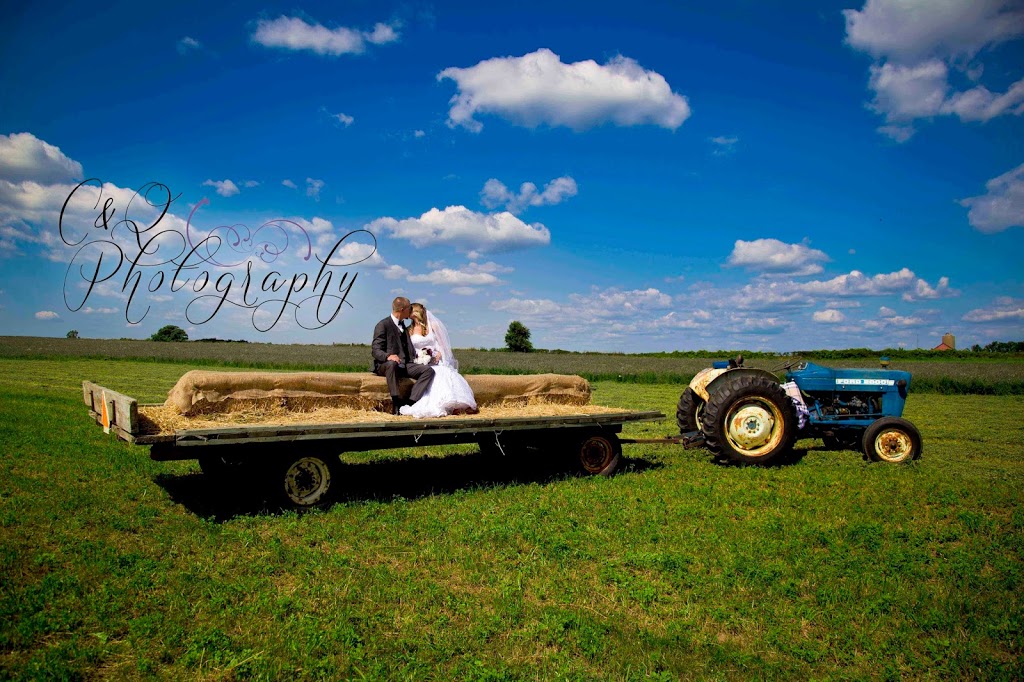 C&Q Photography | 81 Glamis Rd, Cambridge, ON N1R 6W3, Canada | Phone: (519) 505-4752