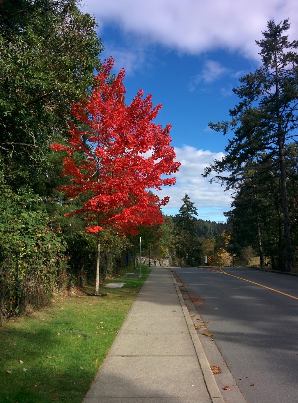 Summit at Thetis | 2383 Chilco Rd, Victoria, BC V9B 6V5, Canada | Phone: (250) 220-5061