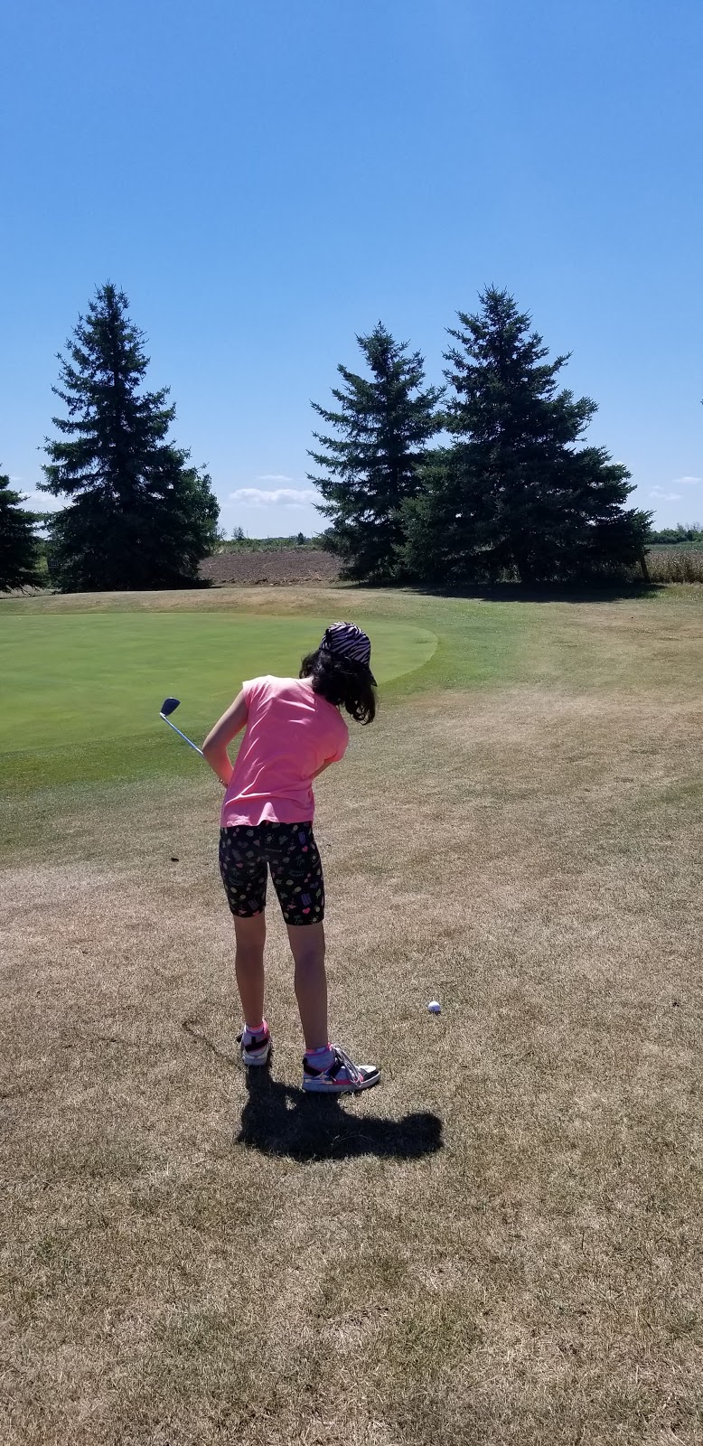 Pros Golf Centre | 22 Green Mountain Rd E, Stoney Creek, ON L8J 2W4, Canada | Phone: (905) 664-6644