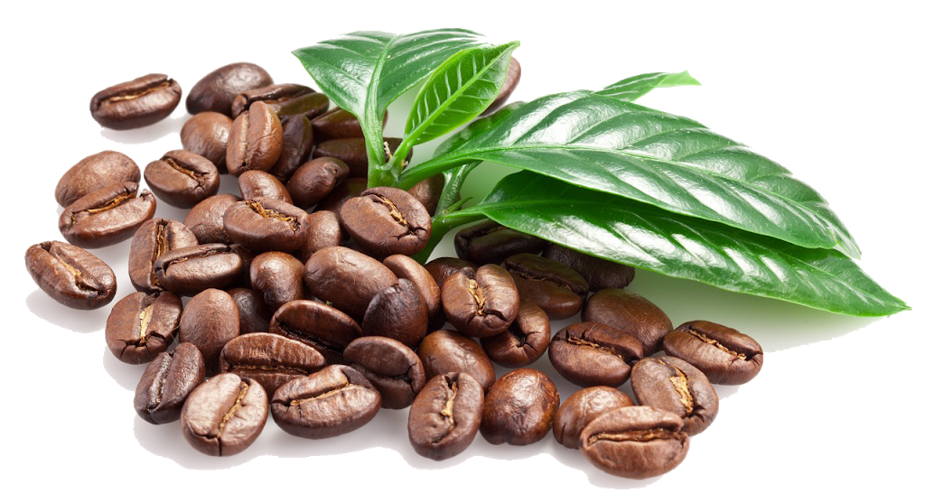 Just Brew It Belleville | 6835 Hwy #62, Belleville, ON K8N 4Z5, Canada | Phone: (613) 475-0395