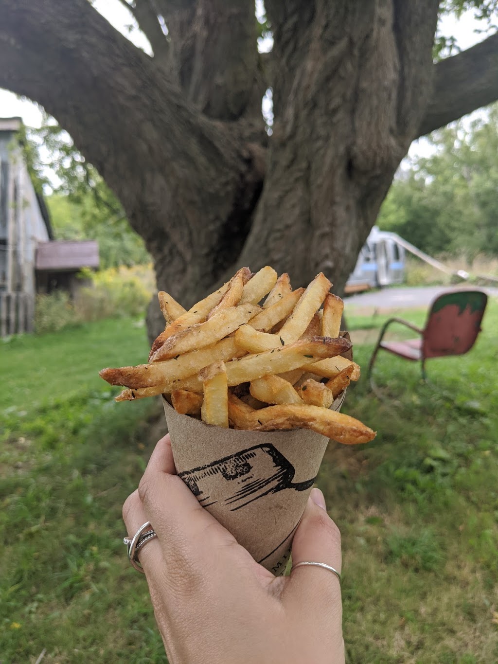 JK French Fries | 18662 Loyalist Pkwy, Hillier, ON K0K 2J0, Canada | Phone: (647) 762-6756