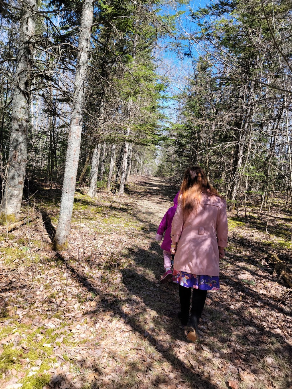The Wolfville Watershed Nature Preserve | 1351 Forest Hill Rd, Wolfville, NS B4P 2R1, Canada | Phone: (902) 425-5263