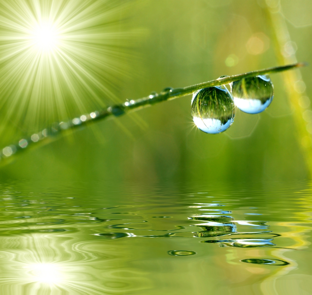 Heaven On Earth Healing Arts Centre | 22 Handorf Dr, Cambridge, ON N3C 3Y2, Canada | Phone: (905) 617-9383