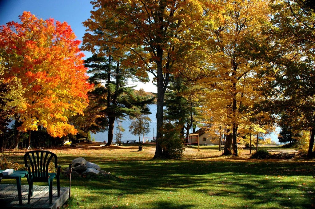 Loralea Country Inn Resort | 17560 ON-35, Algonquin Highlands, ON K0M 1J2, Canada | Phone: (800) 461-6557