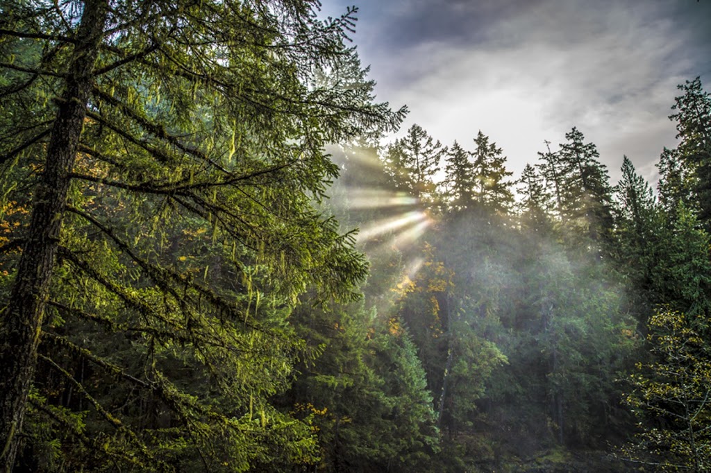 Englishman River Falls (Upper Falls) | Nanaimo F, BC V0R, Canada | Phone: (250) 474-1336