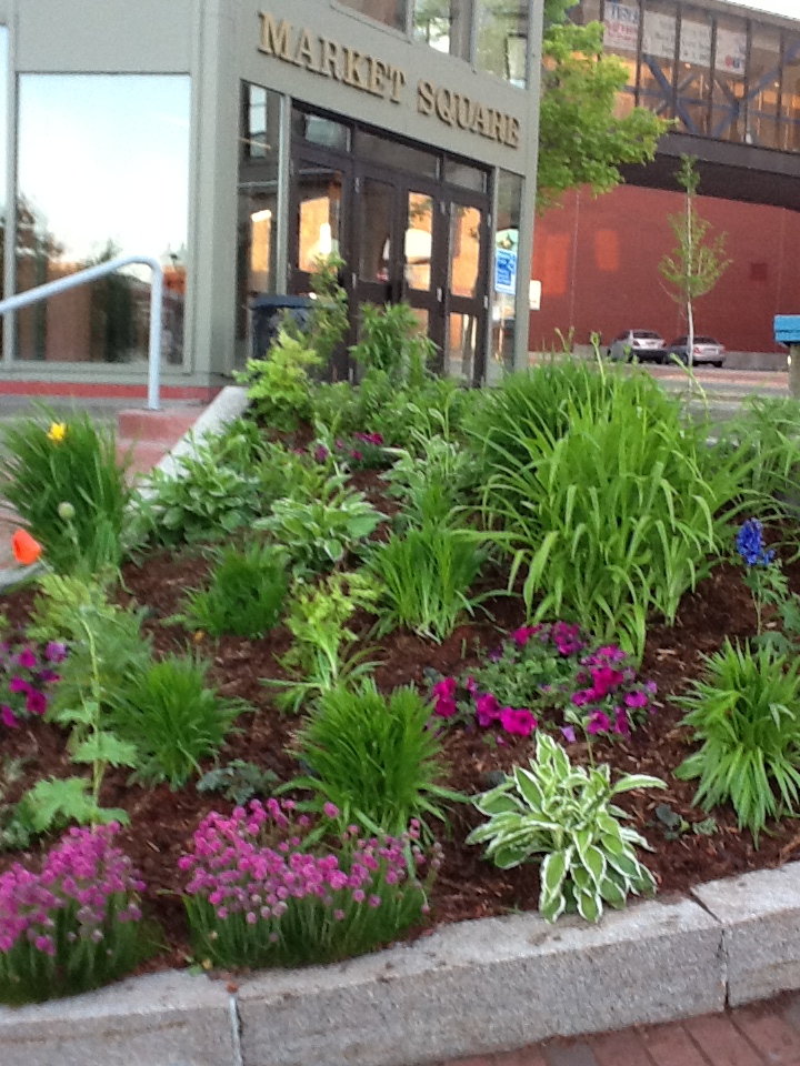 The Potting Shed & Flower Shop | 34 Old Rd, Nauwigewauk, NB E5N 6Y3, Canada | Phone: (506) 832-0099