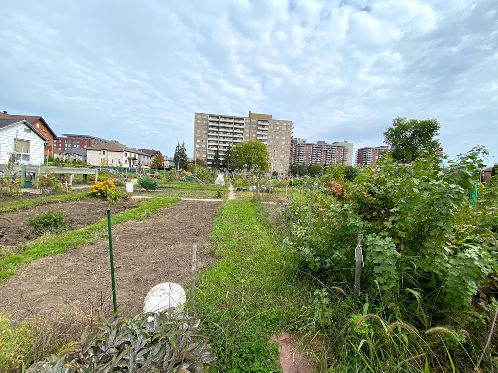 Côte-Saint-Luc Senior’s Garden | 6868 Chem. Norwalk, Côte Saint-Luc, QC H4W 2X6, Canada | Phone: (514) 485-6806