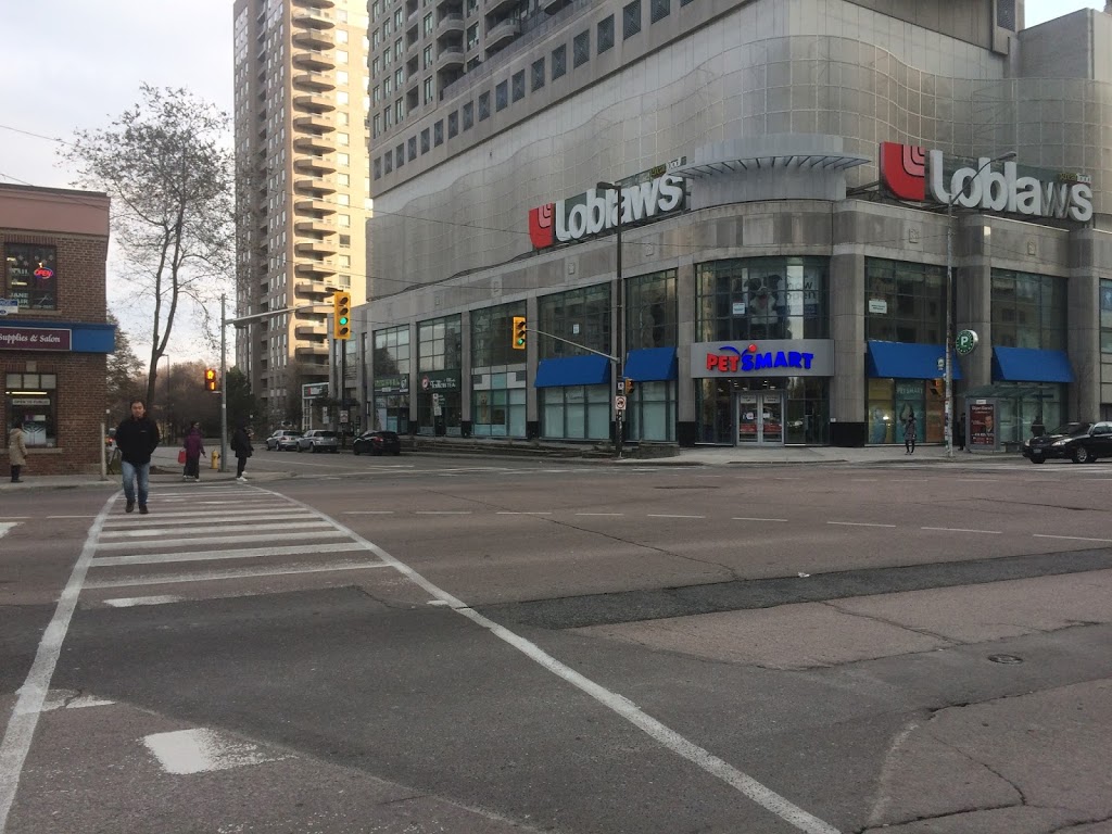Mr Shine | 5095 Yonge St, North York, ON M2N 6Z4, Canada | Phone: (416) 229-9274