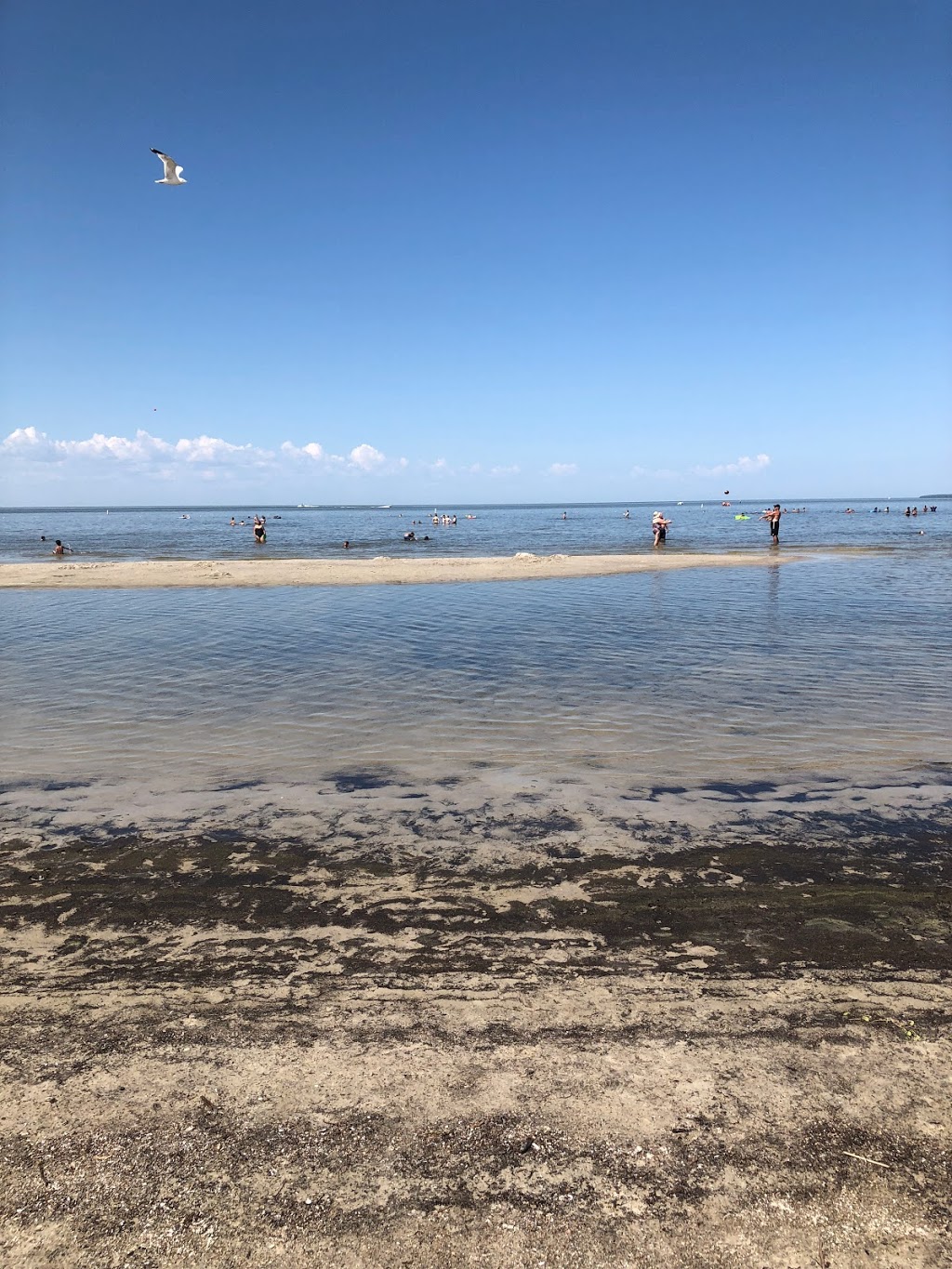 Grand Beach Coast | Grand Marais, MB R0E 0T0, Canada