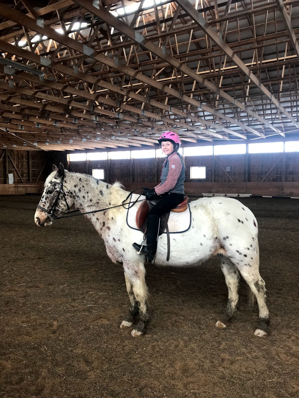 Maximum Equestrian Limited | 8814 Twenty Rd, Smithville, ON L0R 2A0, Canada | Phone: (289) 922-9029