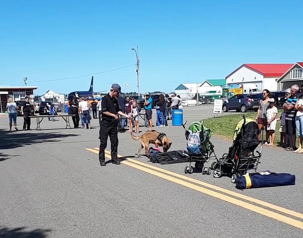 S3-K9 Baie St-Paul | 3 Rue Roy Comeau, Baie-Saint-Paul, QC G3Z 1W6, Canada | Phone: (418) 704-8585