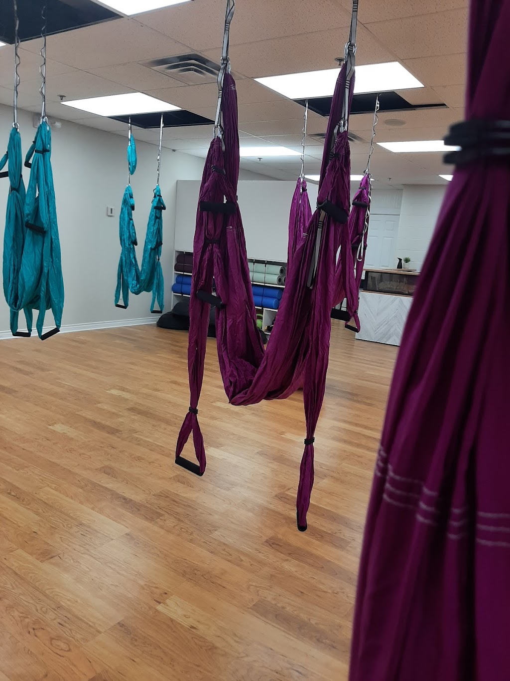 Vital Kinetics - Health and Wellness | 112 Longworth Ave, Charlottetown, PE C1A 5A8, Canada | Phone: (782) 377-3186