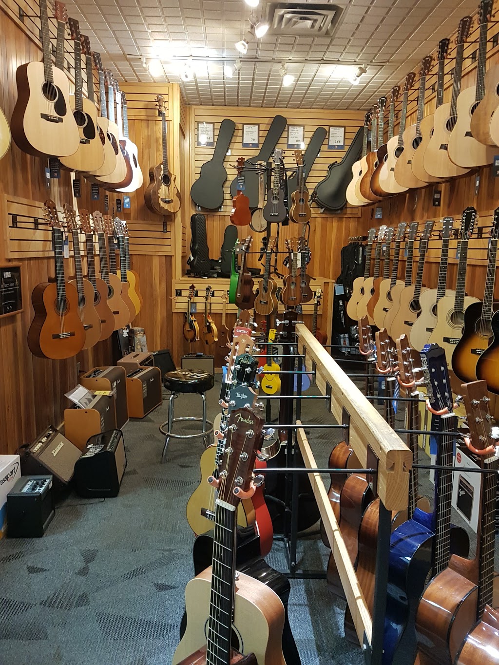 Long & McQuade Musical Instruments | 1133 Markham Rd, Scarborough, ON M1H 2Y5, Canada | Phone: (416) 439-8001