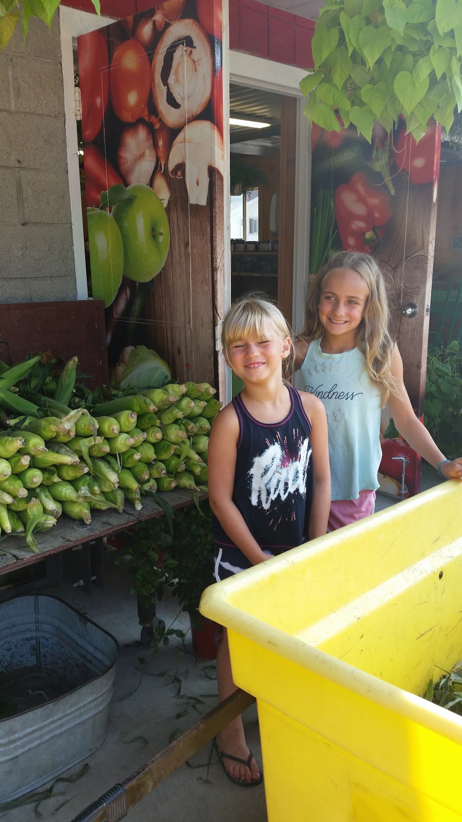 Sunrise Farms | 2190 Seacliff Dr, Kingsville, ON N9Y 2N5, Canada | Phone: (519) 326-5813