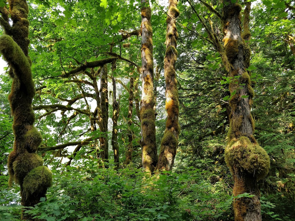 Princess Louisa Marine Provincial Park | Gibsons, BC V0N 1V6, Canada | Phone: (800) 689-9025