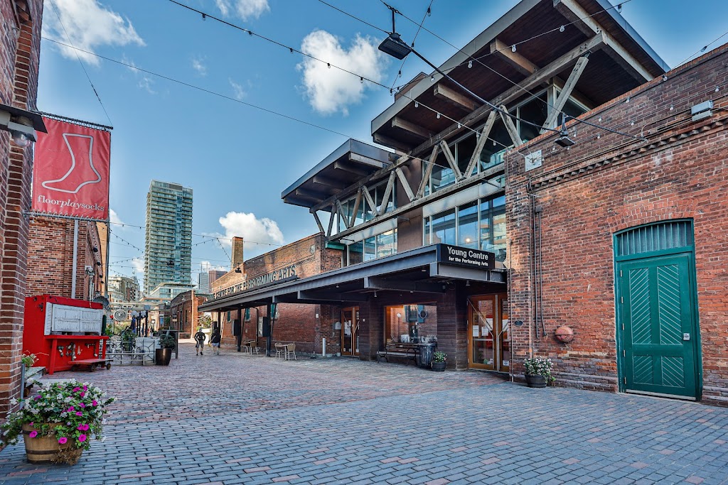 Soulpepper Theatre Co | 50 Tank House Lane, Toronto, ON M5A 3C4, Canada | Phone: (416) 866-8666