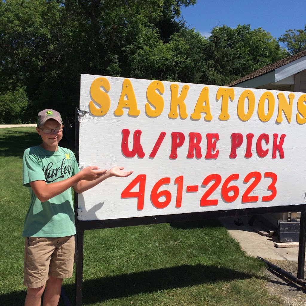 Purple Berry Orchard | Perimeter Hwy, Manitoba R0H 1E0, Canada | Phone: (204) 461-2623