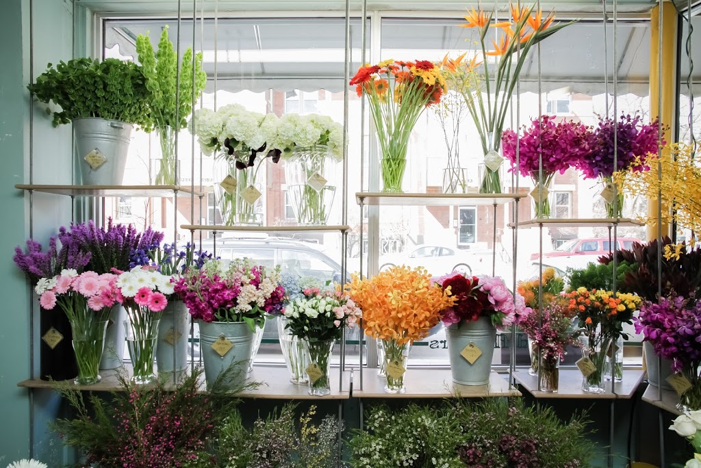 Beyond Flowers | 1099 Corydon Ave, Winnipeg, MB R3M 0X3, Canada | Phone: (204) 477-5787