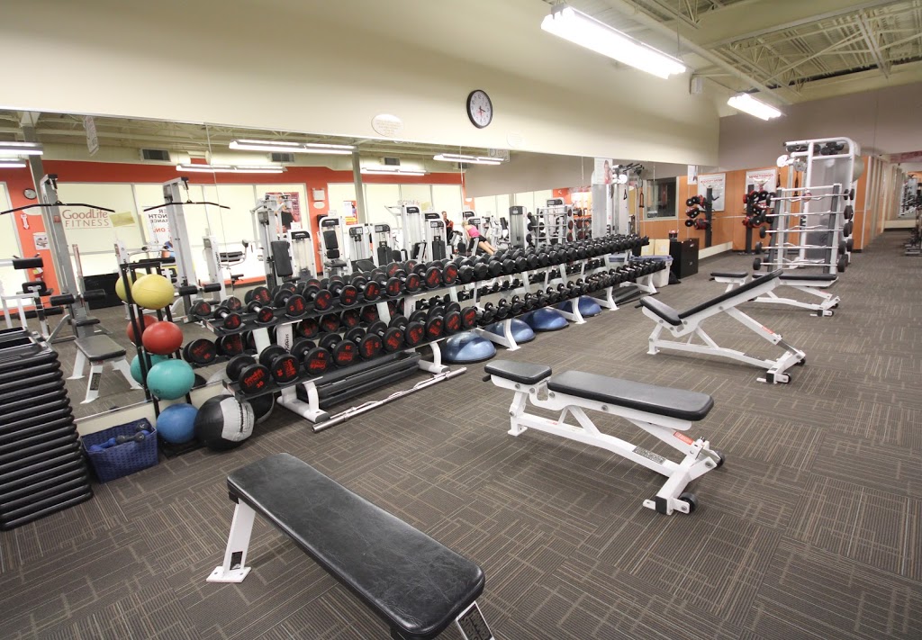 Fit4Less | 19800 Lougheed Hwy #201, Pitt Meadows, BC V3Y 2W1, Canada | Phone: (604) 460-0348