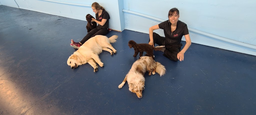 Gardierie Dieppe Doggy Daycare | 675 Babin St, Dieppe, NB E1A 5M7, Canada | Phone: (506) 381-0099