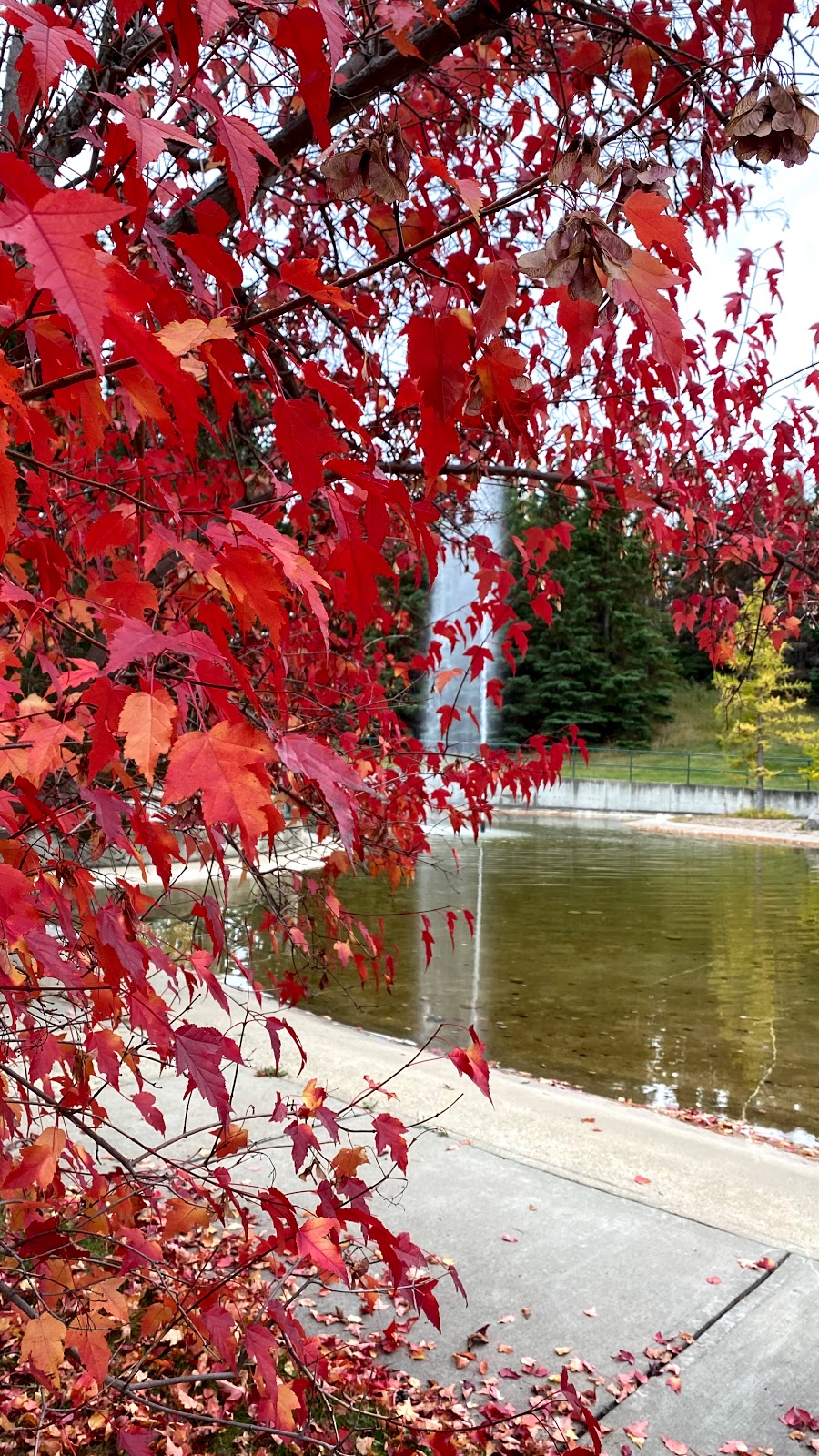 Whitemud Creek Community Centre | 951 Ogilvie Blvd NW, Edmonton, AB T6R 1K8, Canada | Phone: (780) 430-7660