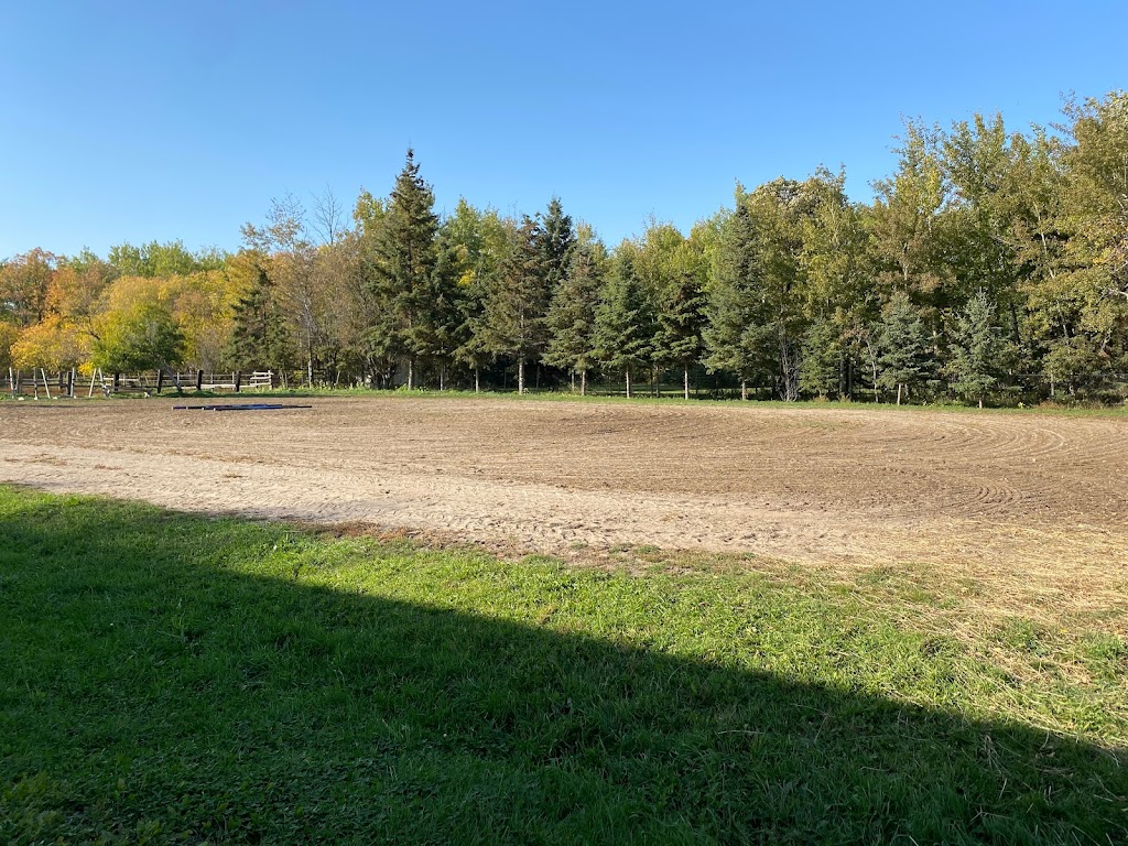 SandyLane Stable | Provincial Rd 207, Oakbank, MB R5N 0H3, Canada | Phone: (204) 793-4584