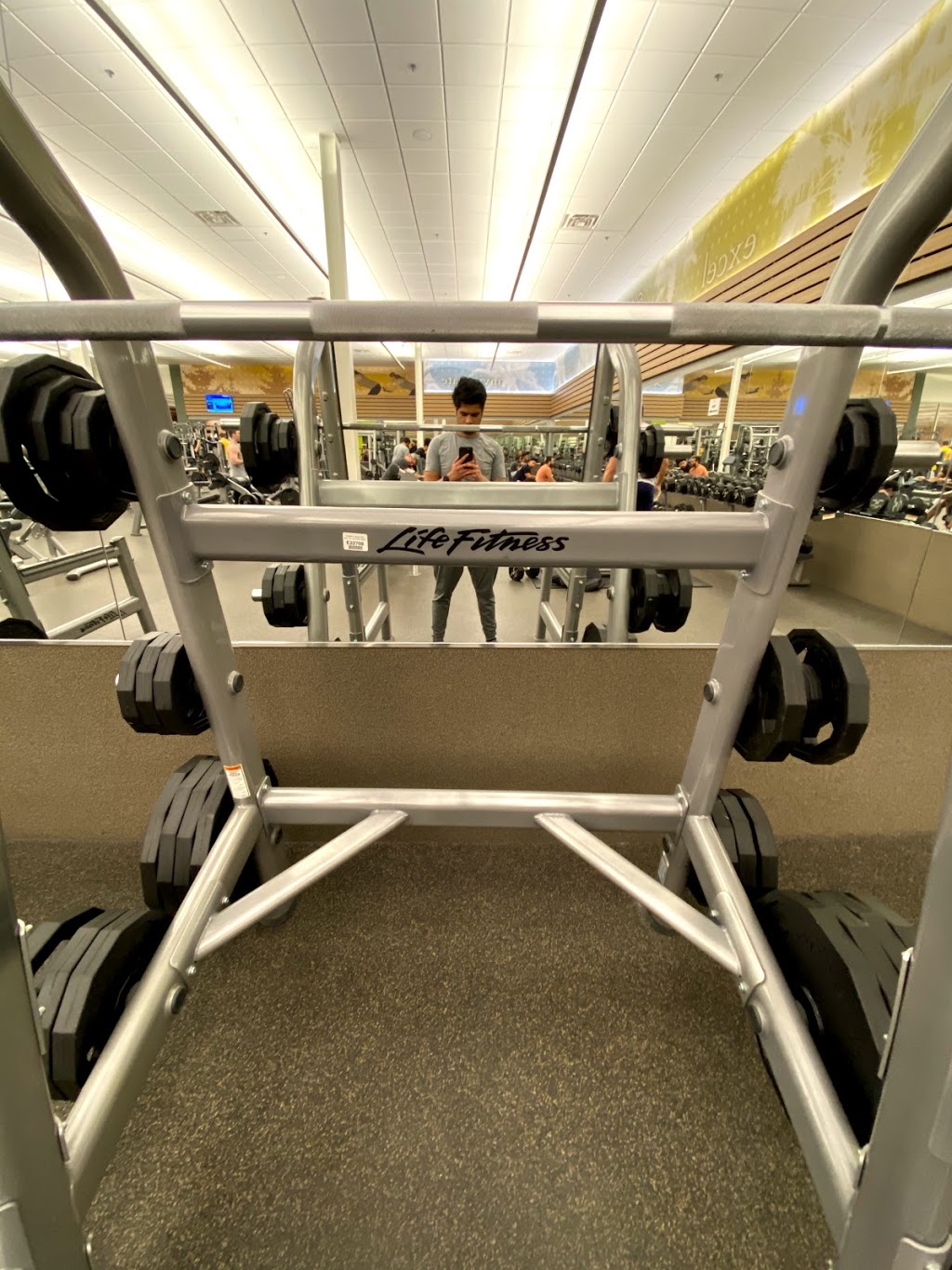 LA Fitness | 4561 Hurontario St, Mississauga, ON L4Z 3X3, Canada | Phone: (647) 243-5081