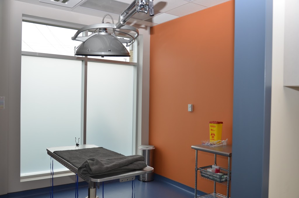 Sixteen Mile Veterinary Clinic | 483 Dundas St W, Oakville, ON L6M 1L9, Canada | Phone: (289) 725-9988
