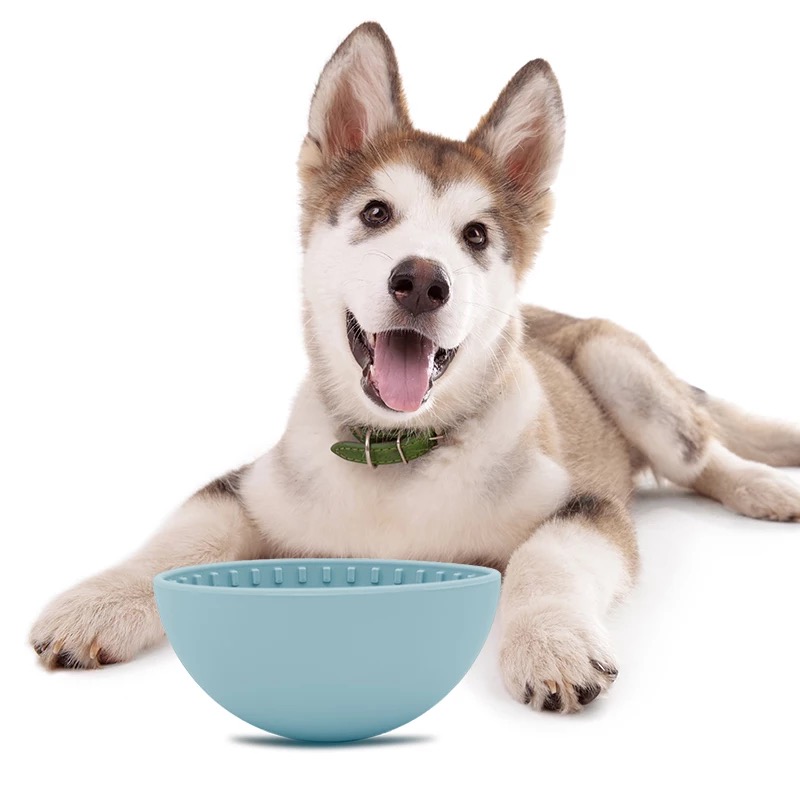 Slow Feeder Pets | 5761 Wharf Ave, Sechelt, BC V0N 3A3, Canada | Phone: (604) 928-5884