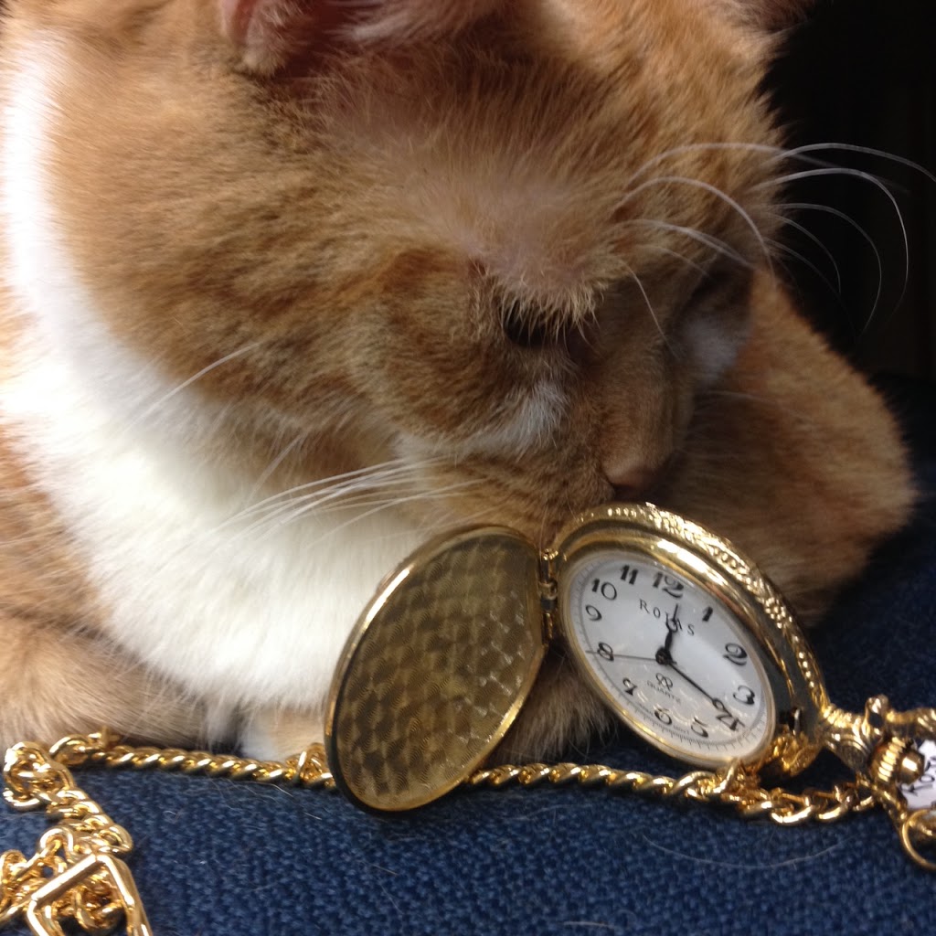 Westdale Jewellers | 2 Newton Ave, Hamilton, ON L8S 1V7, Canada | Phone: (905) 777-1101