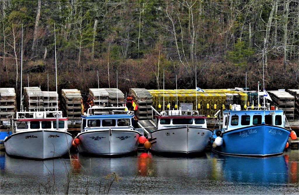 Sunrise Shore Marina & Cottages 369 Brule Shore Rd, Tatamagouche, NS